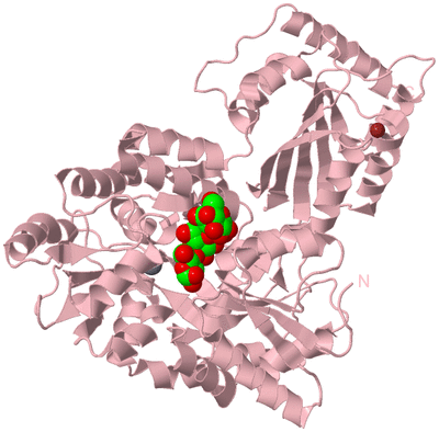 Image Biological Unit 1