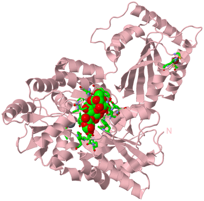 Image Biol. Unit 1 - sites