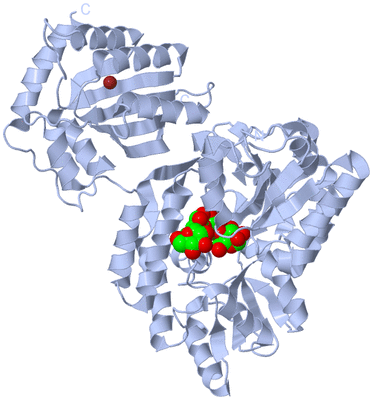 Image Biological Unit 2