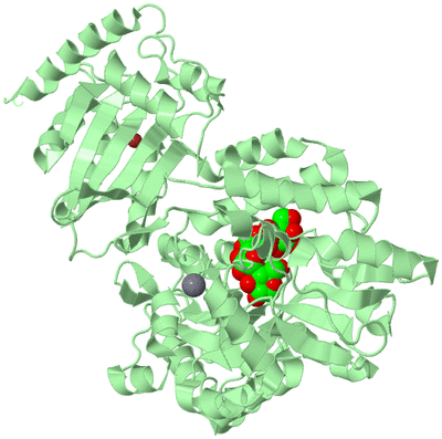 Image Biological Unit 3