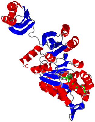 Image Asym. Unit - sites