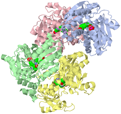 Image Asymmetric Unit
