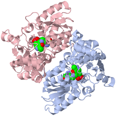 Image Biological Unit 1