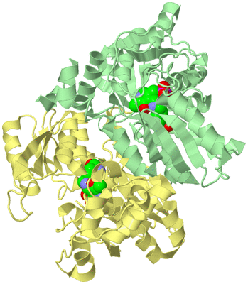 Image Biological Unit 2