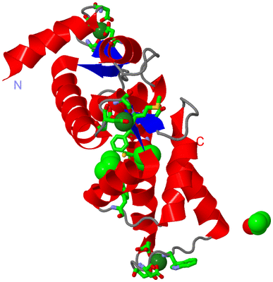 Image Asym. Unit - sites