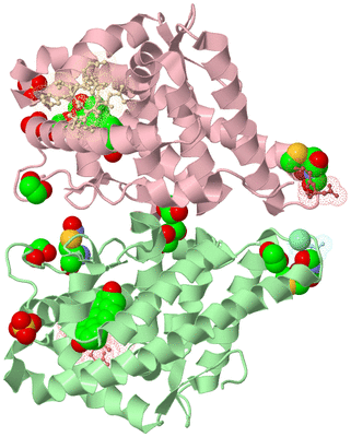 Image Biological Unit 2