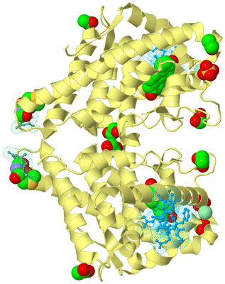 Image Biological Unit 3