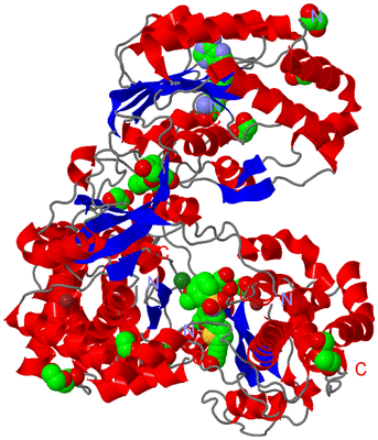 Image Asym./Biol. Unit