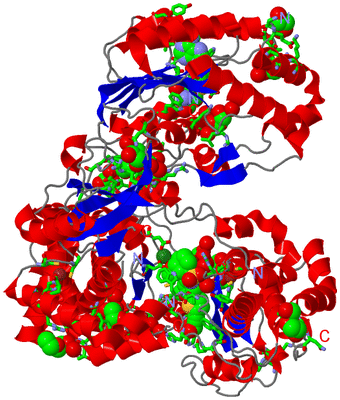 Image Asym./Biol. Unit - sites