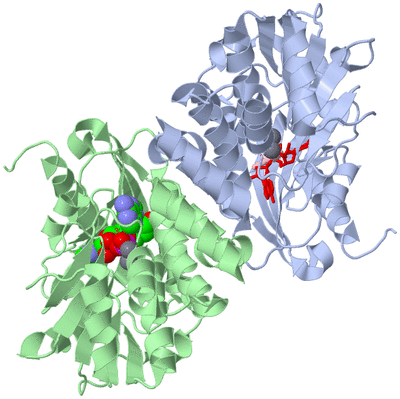 Image Asym./Biol. Unit