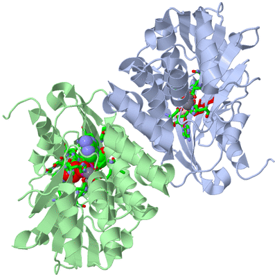 Image Asym./Biol. Unit - sites