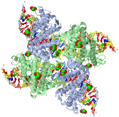 Image Biological Unit 1