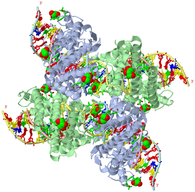 Image Biol. Unit 1 - sites