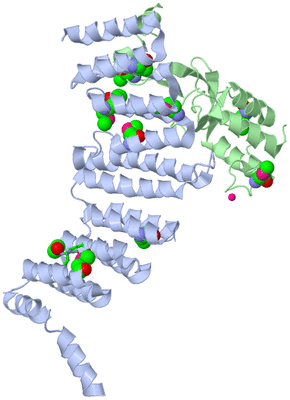 Image Asym./Biol. Unit - sites