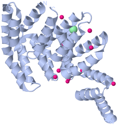 Image Biological Unit 1