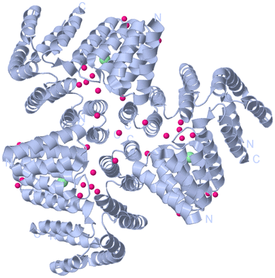 Image Biological Unit 2