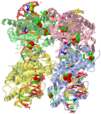 Image Asym./Biol. Unit - sites