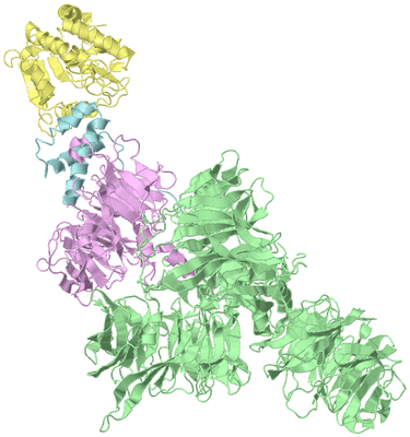 Image Biological Unit 2