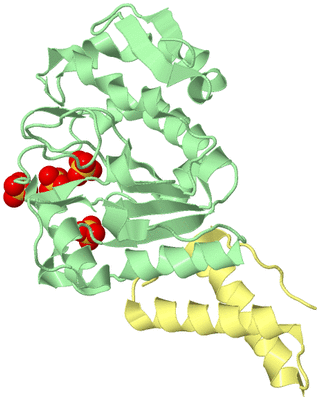 Image Biological Unit 1