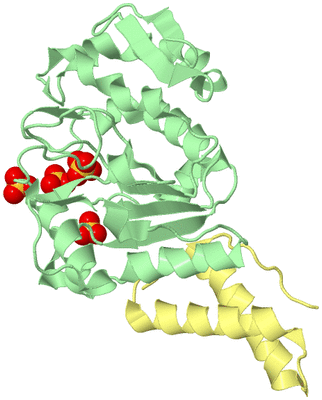 Image Biological Unit 1