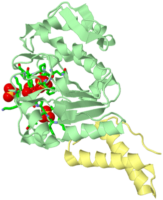 Image Biol. Unit 1 - sites