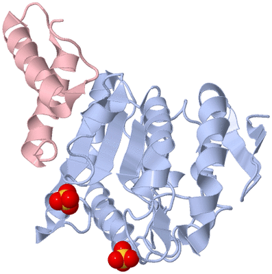 Image Biological Unit 2