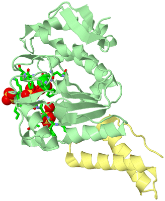 Image Biol. Unit 1 - sites