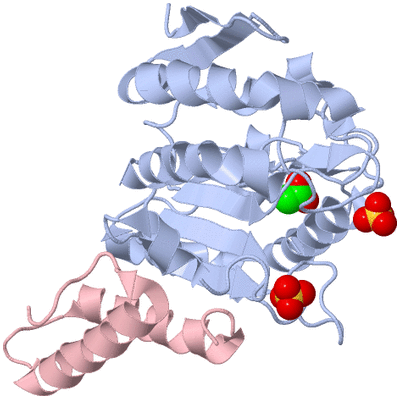 Image Biological Unit 2