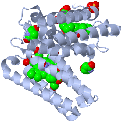 Image Biological Unit 1