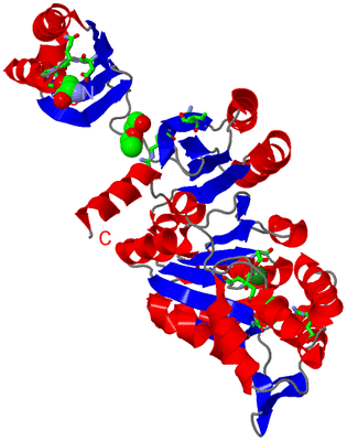 Image Asym. Unit - sites