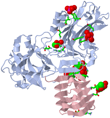 Image Biol. Unit 1 - sites