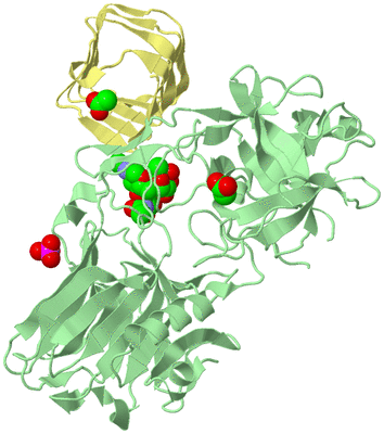 Image Biological Unit 2