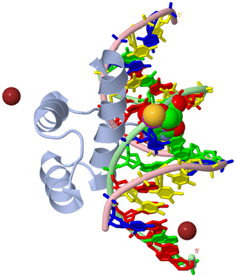 Image Biological Unit 1