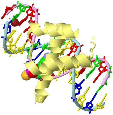 Image Biological Unit 2