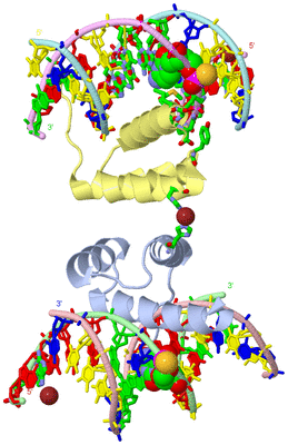 Image Asym. Unit - sites