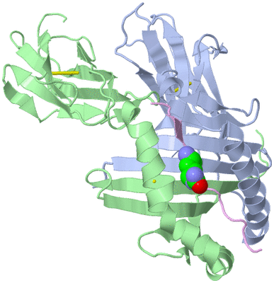 Image Biological Unit 1