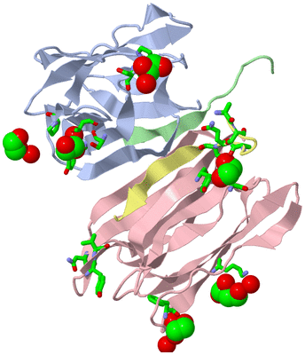 Image Biol. Unit 1 - sites