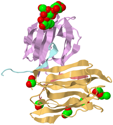 Image Biological Unit 2