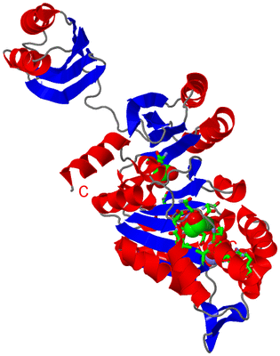 Image Asym. Unit - sites