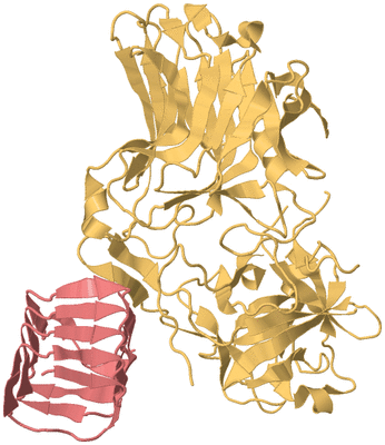 Image Biological Unit 4