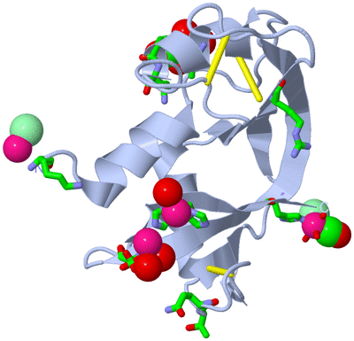 Image Biol. Unit 1 - sites