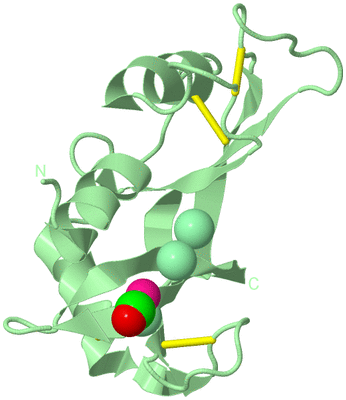 Image Biological Unit 2