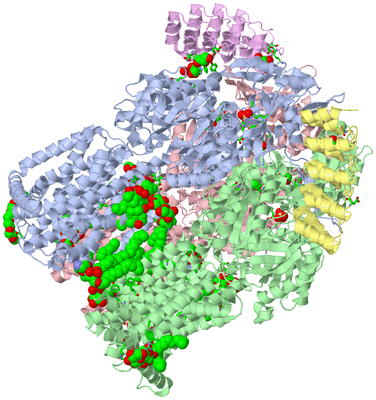 Image Asym./Biol. Unit - sites