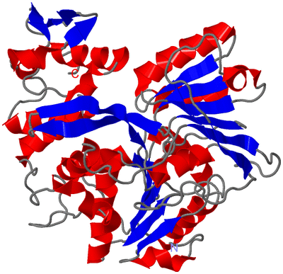 Image Asym./Biol. Unit