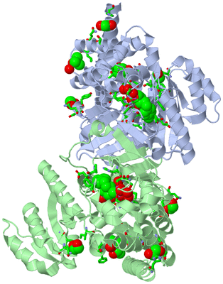 Image Asym./Biol. Unit - sites