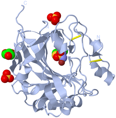 Image Biological Unit 1