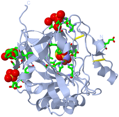 Image Biol. Unit 1 - sites