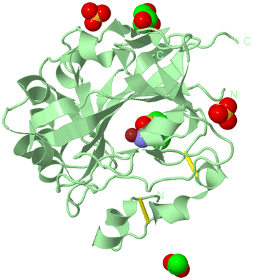 Image Biological Unit 2