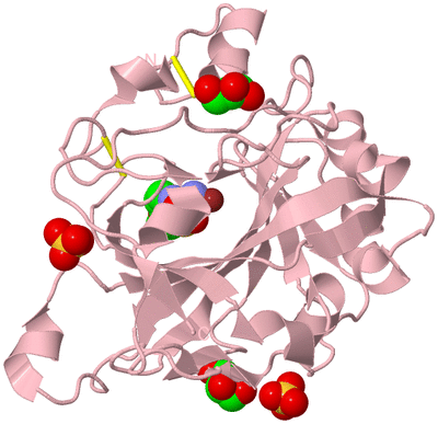 Image Biological Unit 3