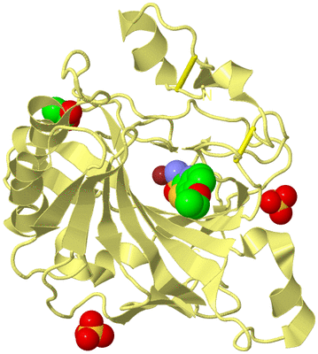 Image Biological Unit 4